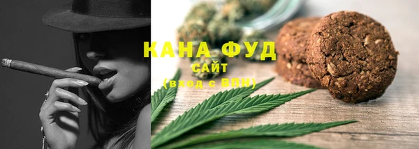 крисы Надым