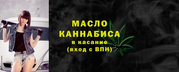 хмурый Арсеньев