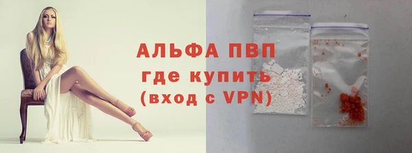 крисы Надым