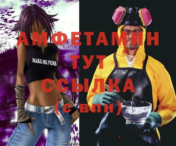 крисы Надым
