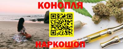 трава Гатчина