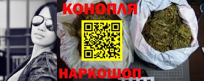 трава Гатчина