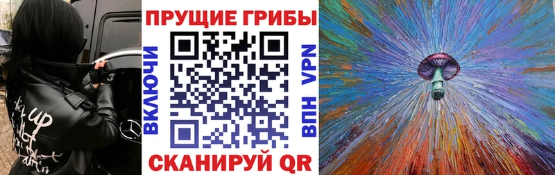где купить наркоту  Ишимбай  Галлюциногенные грибы Psilocybe 