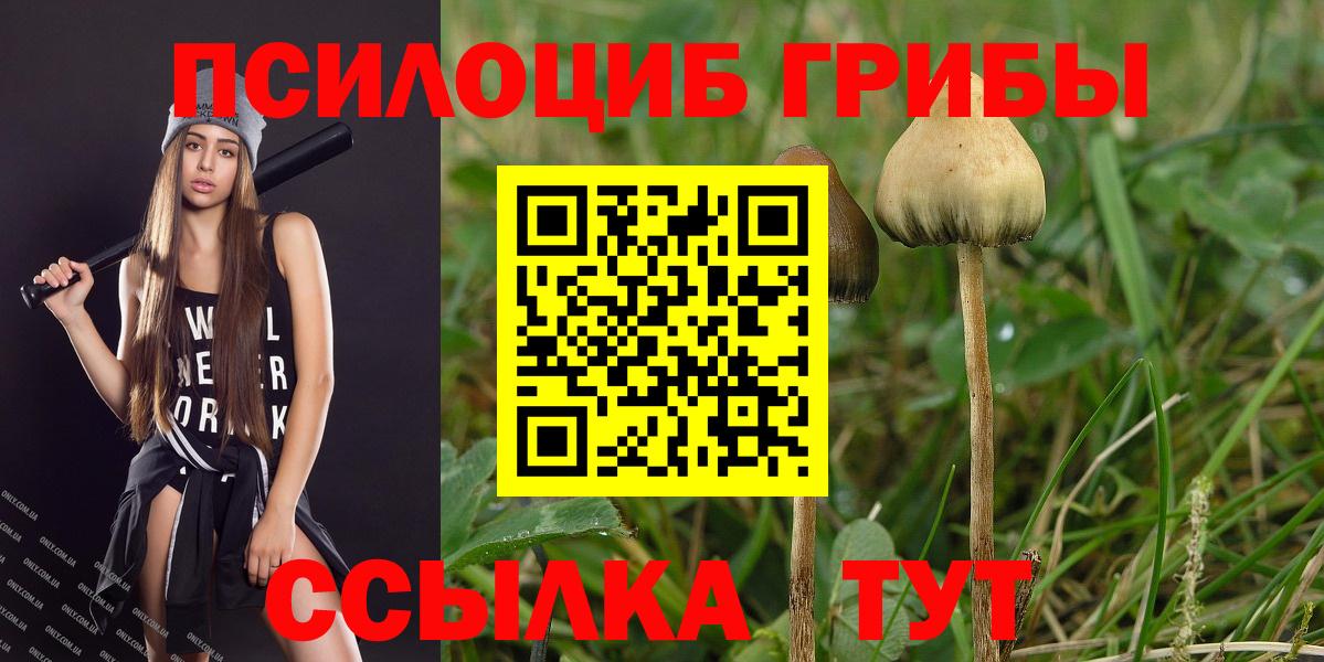 Псилоцибиновые грибы MAGIC MUSHROOMS Ишимбай