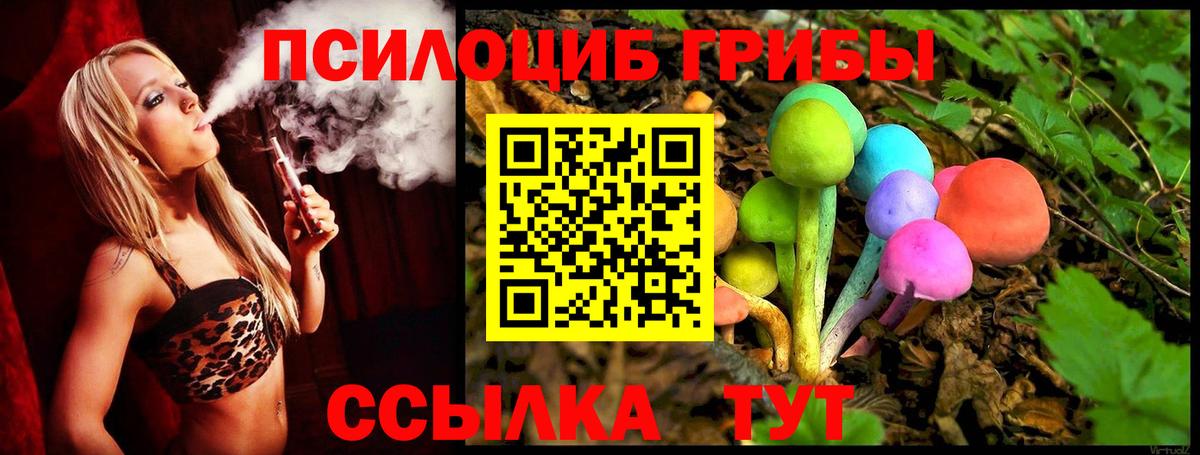 Галлюциногенные грибы GOLDEN TEACHER  Вход с VPN  Ишимбай  Галлюциногенные грибы Psilocybe 